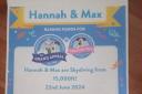 Hannah and Max are raising funds for a children's hospital charity