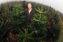 John Hardwick, chairman of the British Christmas Tree Growers Association, believes nothing beats a real tree.