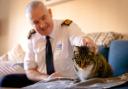 Dermot Murphy, RSPCA inspectorate commissioner, with a rescued patrol. Picture: RSPCA