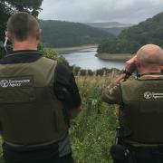 LOOKOUT: Environment Agency officers patrolling a river bank during the close season which forbids catching fish like barbel and chub