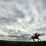 KICK-OFF: Final preparations at Cheltenham Racecourse, ahead of the Cheltenham Festival which begins today (pic: David Davies/PA Wire)