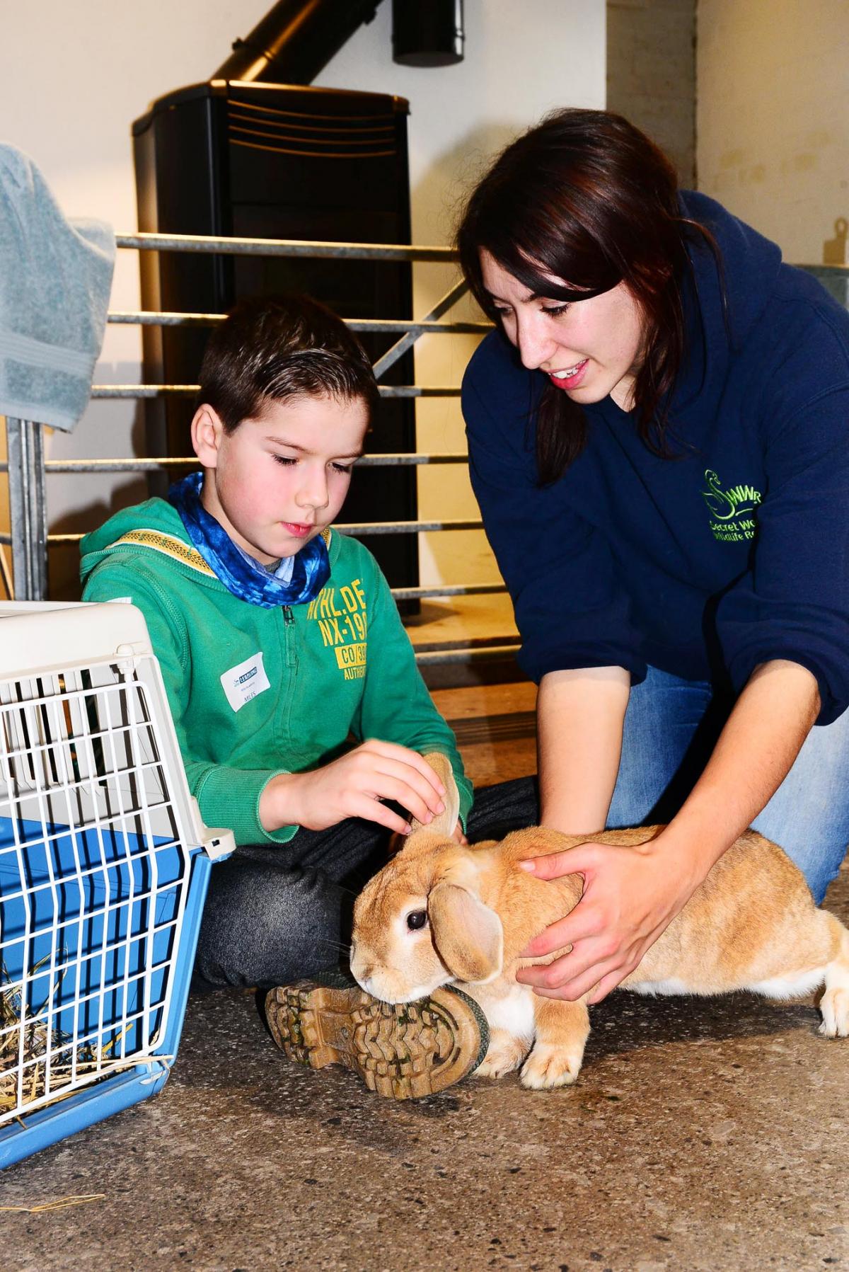 CUTE: Ceri Cambridge, learning and development officer at Secret World shows the children one of their rabbits