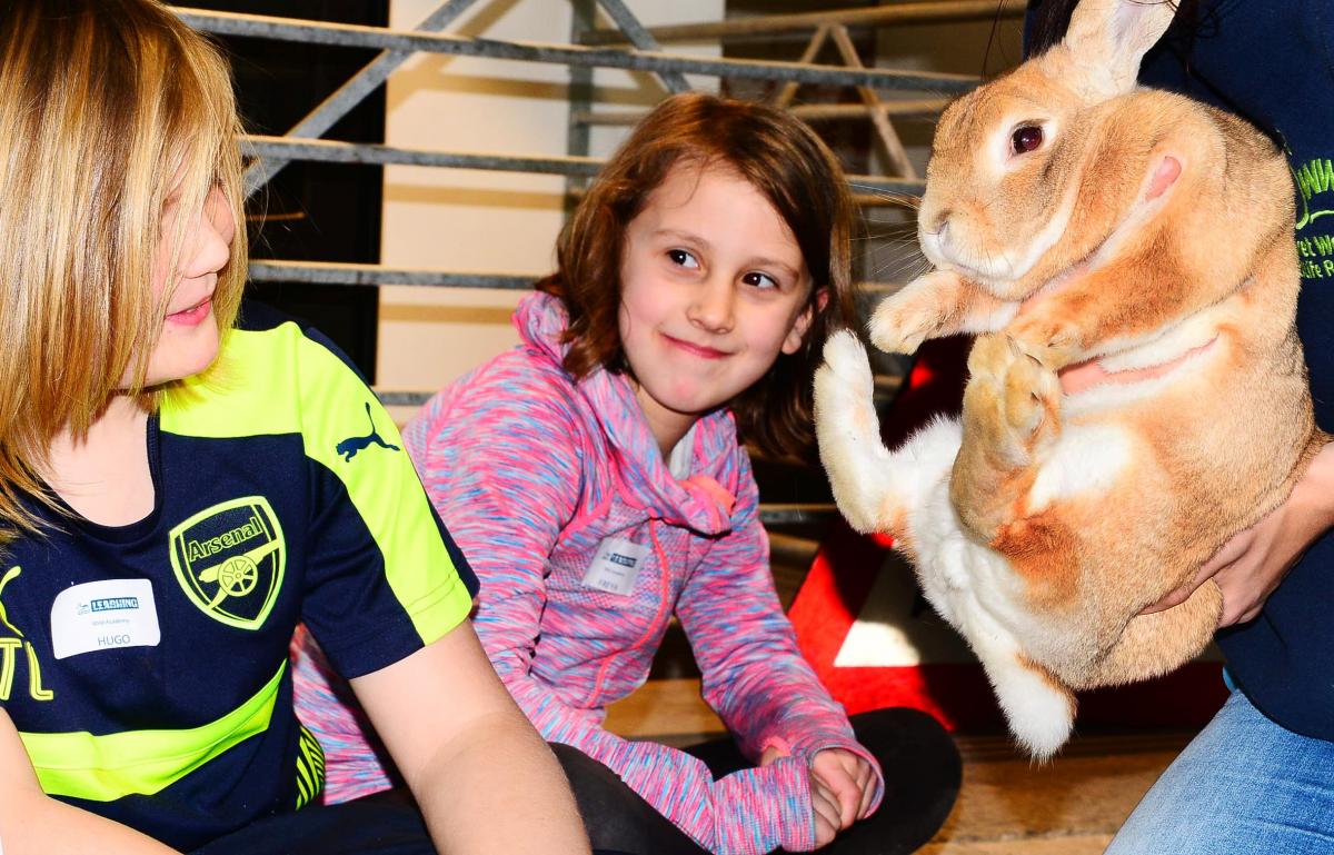 SMILES: Children were chuffed at Secret World on Saturday as they were shown a rescued rabbit.
