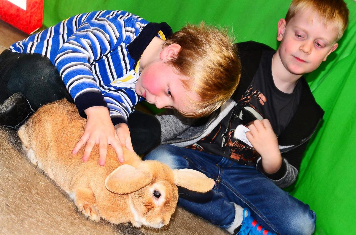 FASCINATED: Two of the children at the rescue ranger masterclass were interested by a rabbit.