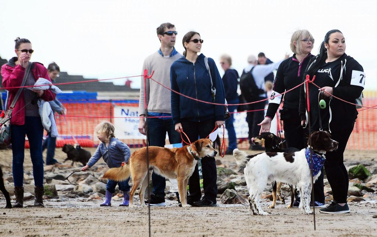Sea Dogs Festival in Burnham-on-Sea 2017