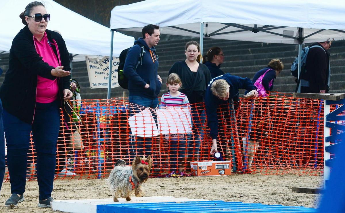 Sea Dogs Festival in Burnham-on-Sea 2017