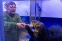Mary and the sea otters during her visit. Picture: Sea Life