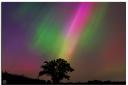 The Northern lights captured in Shropshire.