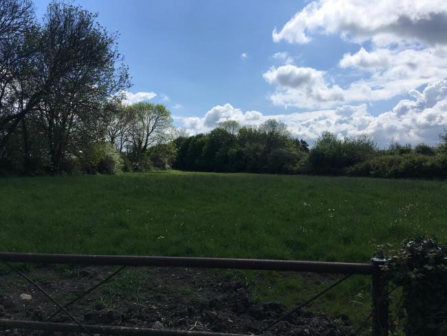 PLAN: Site of 260 planned homes on Bower Lane in Bridgwater. Pic: Daniel Mumby