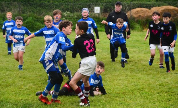 Burnham and Highbridge Weekly News: This was the 22nd Gullivers' Burnham-on-Sea Rugby Festival.