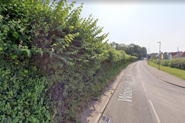 Proposed location of entrance to development of 50 homes on Wookey Hole Road in Wells. Picture: Google Maps