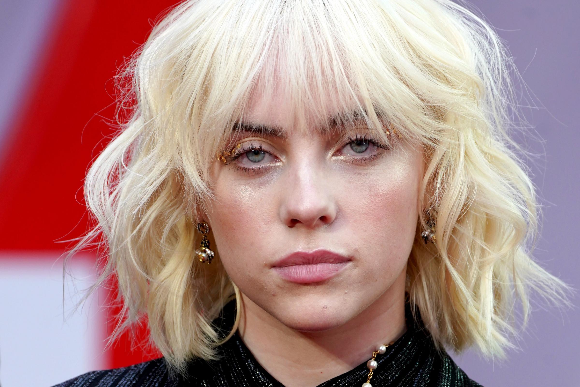 Billie Eilish to headline William's Earthshot Prize awards ceremony in Boston | Burnham and Highbridge Weekly News - Vimarsana News