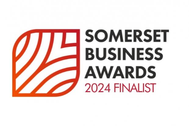 The 2024 finalists have been announced. Picture: Somerset Chamber of Commerce