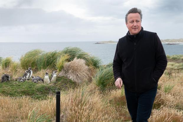 Foreign Secretary Lord David Cameron visited Gypsy Cove on the Falkland Islands (Stefan Rousseau/PA)