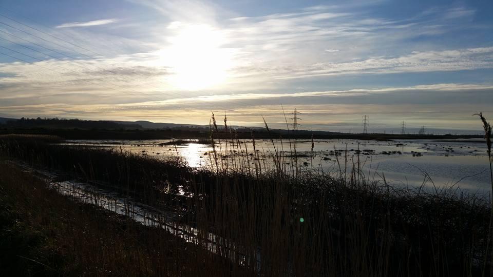 MOODY: A shot from Steart Marshes by Jackie Hellier. PUBLISHED: March 30, 2017
