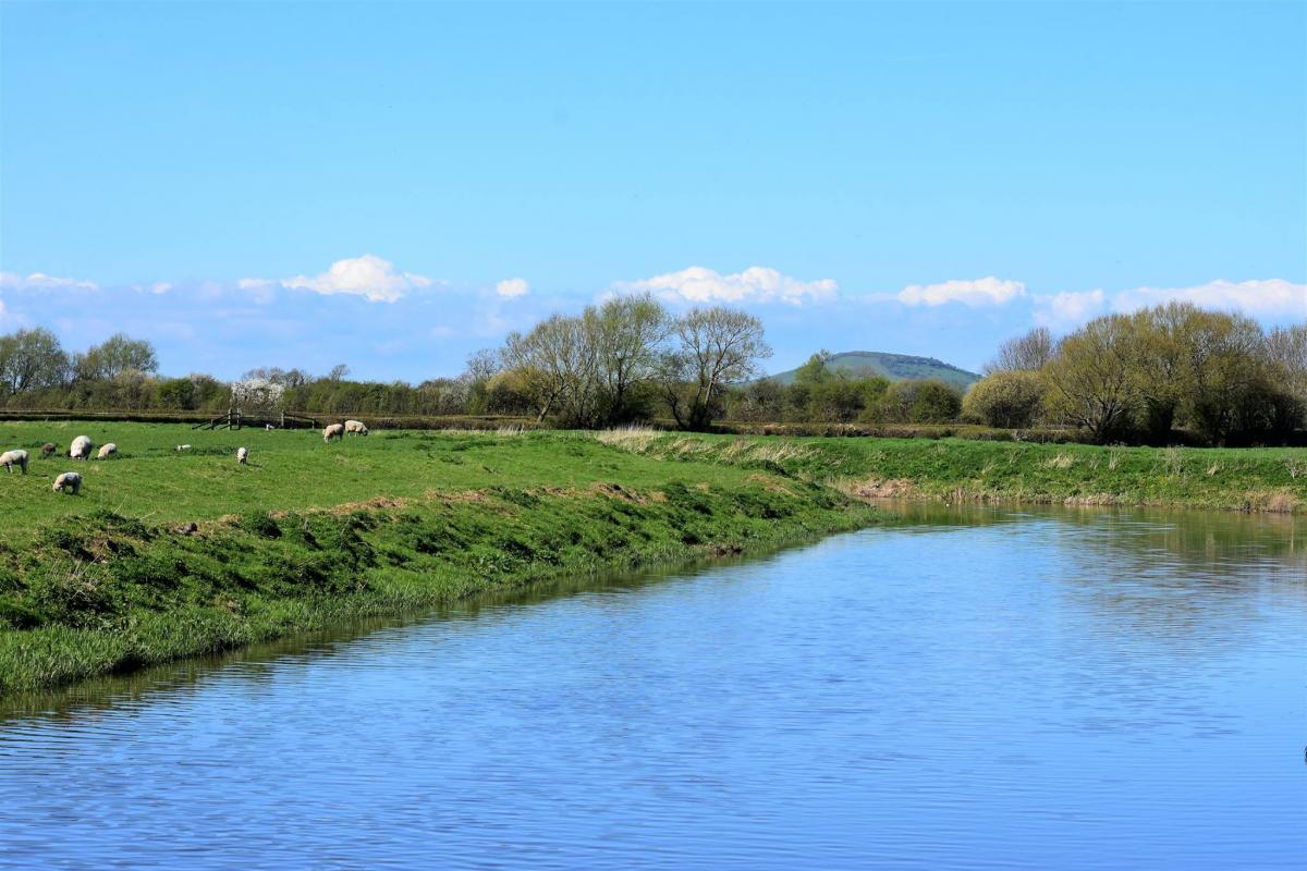 BACKDROP: A view along the River Brue with Brent Knoll in the background, by Andy Linthorne. PUBLISHED: April 6, 2017
