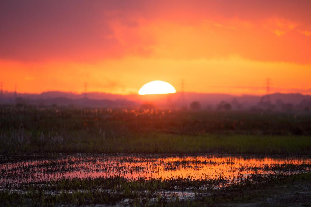 A LONG DAY: Sunset on the Levels by Craig Stone. PUBLISHED: April 27, 2017